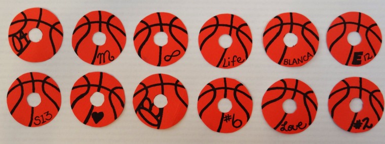 Different Basketball Designs.jpg